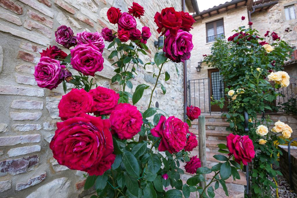 Borgocuore Todi Exterior photo
